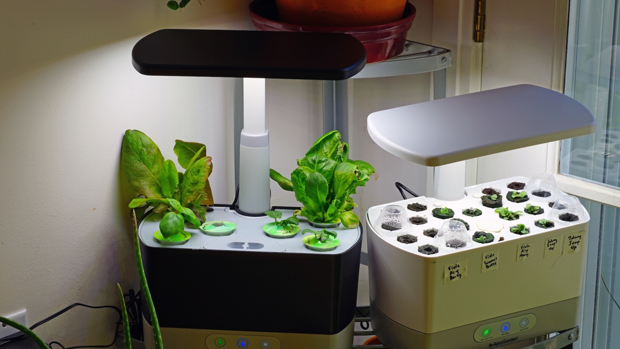 hydroponic system