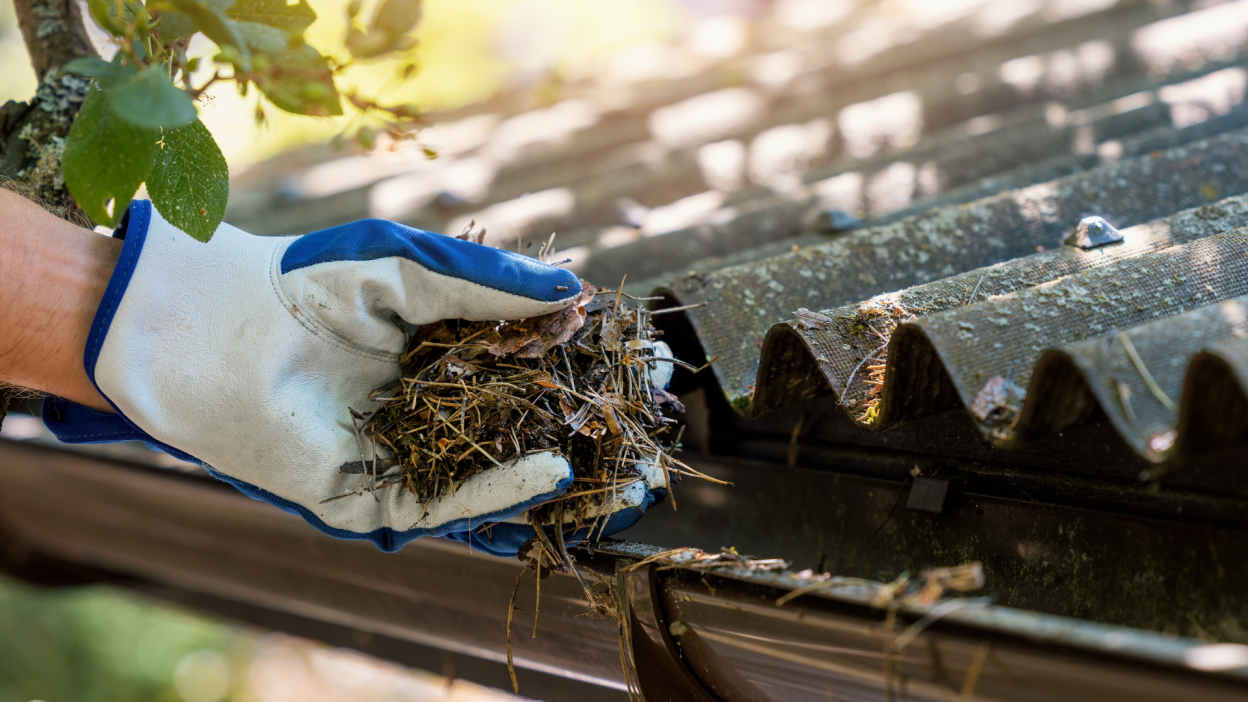 person cleaning leaves and debris from gutters