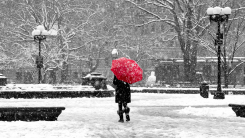 A woman with a red umbrella seen from the rear walking through a deserted Washington Square Park in NYC on a snowy day