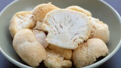 A bowl of lion's mane mushrooms