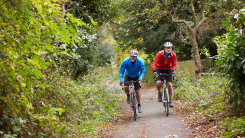 two men riding bicycles on a path in a park