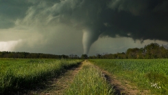 tornado advancing through field