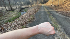 watchless wrist on a running trail