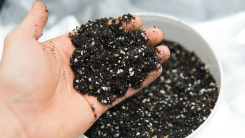 Soil with perlite included