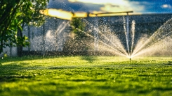 Sprinkler in yard