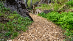 mulch garden pathway