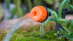 Micro drip irrigation system; close up of an adjustable drip head in a plant pot