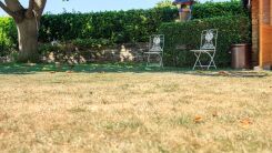 A backyard lawn with brown grass