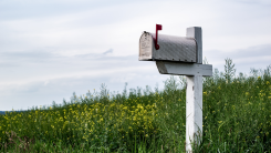 lone mailbox in a field