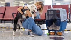 woman and dog in airport 