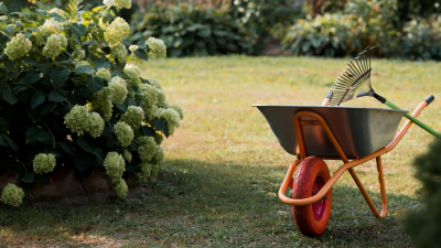 Wheelbarrow and rake in a garden