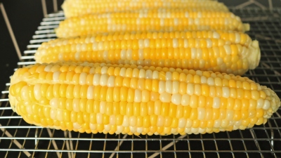 Four ears of corn on the cob on a wire rack.