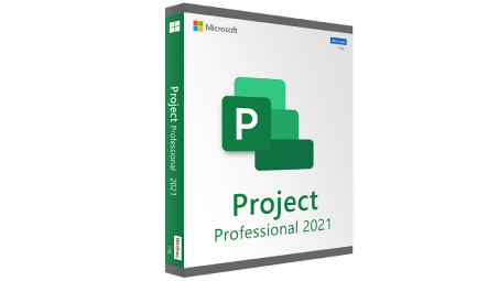 Microsoft Project 2021 Professional (PC)