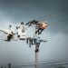 Electrical workers climbing a utility pole to change a power line