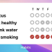 The home screen widget for the application Habituator, which features four habits—focus, eat healthy, drink water, and no smoking. Each habit has a row of check boxes the user can tap. 