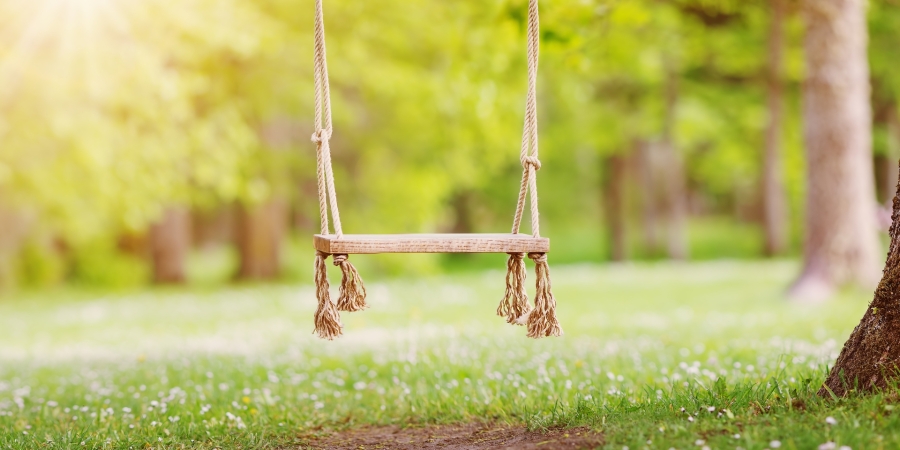 tree swing hanging in yard