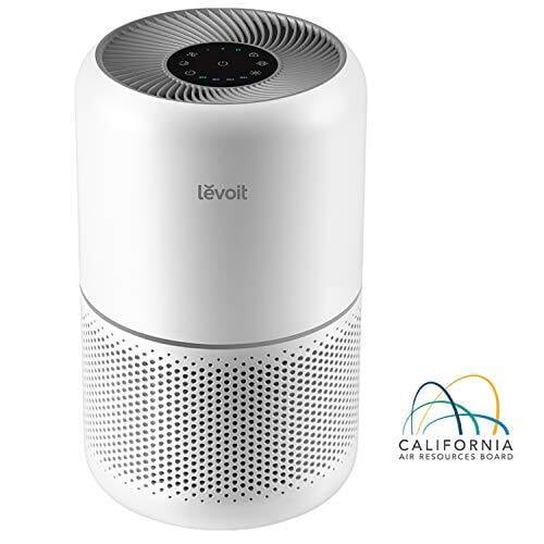 Levoit H13 True HEPA Core 300 Air Purifier